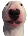 Walter Discord emoji