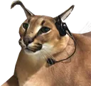 bigcatgamer Discord Emoji