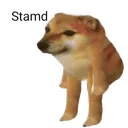 stamd