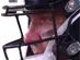 1_pain 1_pain