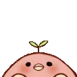 peekie