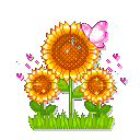 flower1