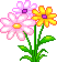 flower9