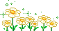 flower14