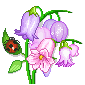 flower13