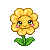 flower17