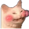 cat_thanks