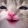 yushehe