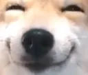 smile smile