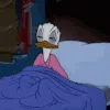 sleep
