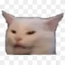 fusedcat Discord Emoji