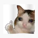 Cat Idk Discord Emoji