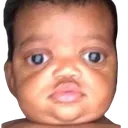 gerber