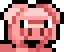 pigchamp