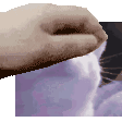 Pettingcat Discord Emoji