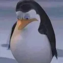 cabosad