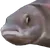 PauseFish