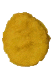 1SpinNugget