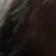lachsen1