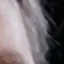 lachsen5