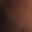 lachsen2