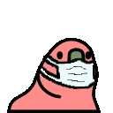 rgbcorona