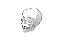 skull Discord emoji