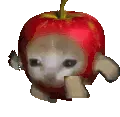 CatAppleRun