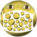 frmaskfr