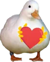 HLDuckLove