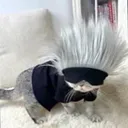 Cat Jo Discord Emoji