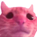 sadhugo sadhugo