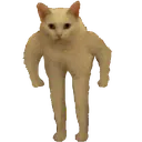 cat_stand