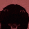 asleep Discord emoji