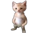 Michael Michael