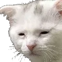 suffering