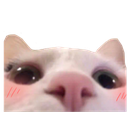 michiiflushed Discord emoji