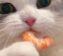 chetosconyogurt Discord emoji