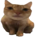 gusicWeird