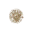 fireworkHD