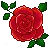 Rose_2 Rose_2