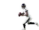 Lamar