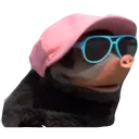 moffel