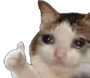 sado