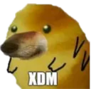 XDm