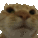 Cat No cat_nO Discord Emoji