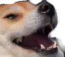 dog_laughing
