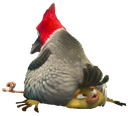 PedroOnNico Discord emoji