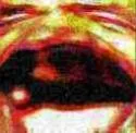 FriedKekW