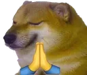 z_dogpray